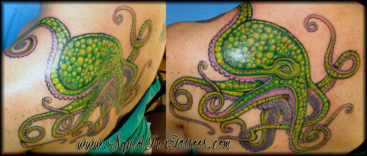 Octopus